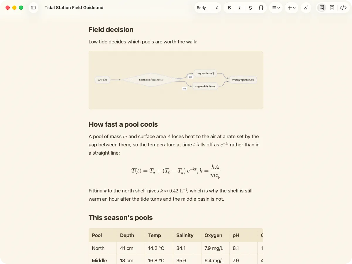 A Medallion document in the Sepia theme, with a Mermaid flowchart drawn in the hand-drawn Sketch style.